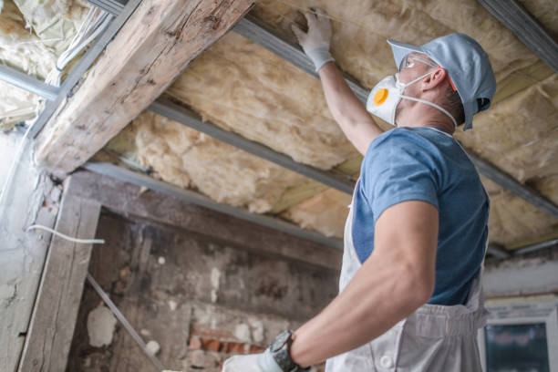 Best Insulation for New Construction  in Clermont, GA